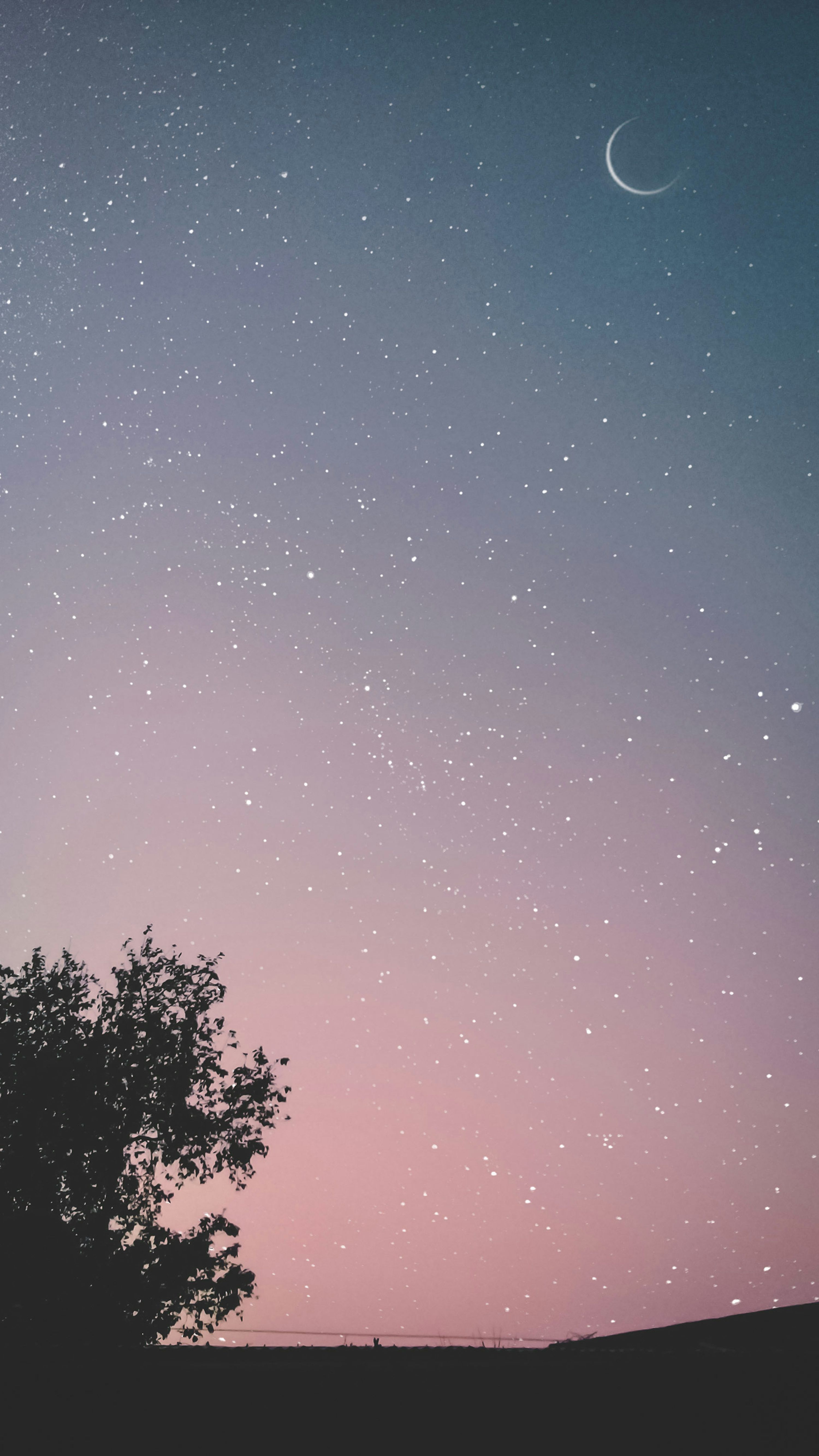 3000x5332 Moon And Stars Picture. Download Free Image