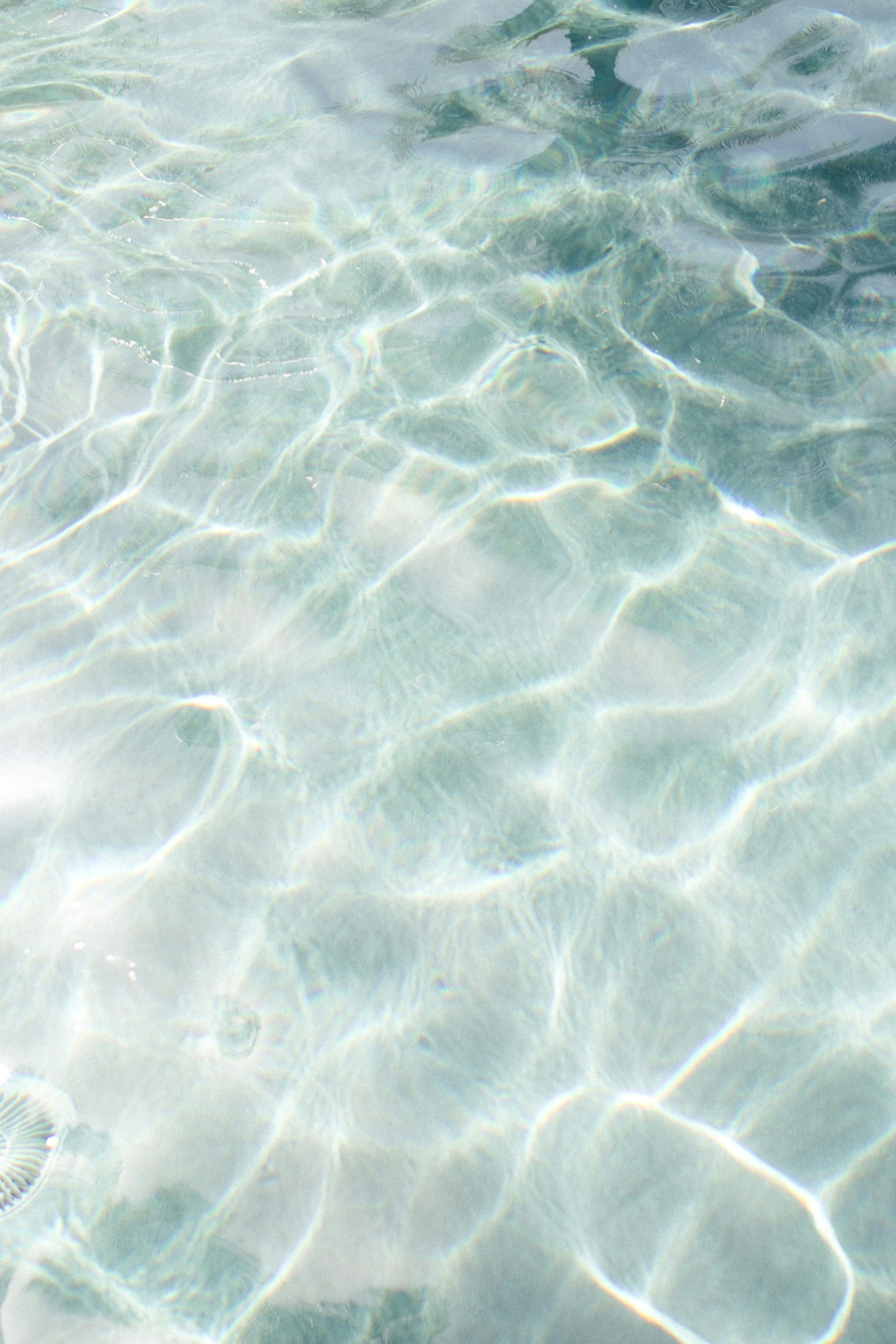 3000x4498 Water Effect Picture. Download Free Image