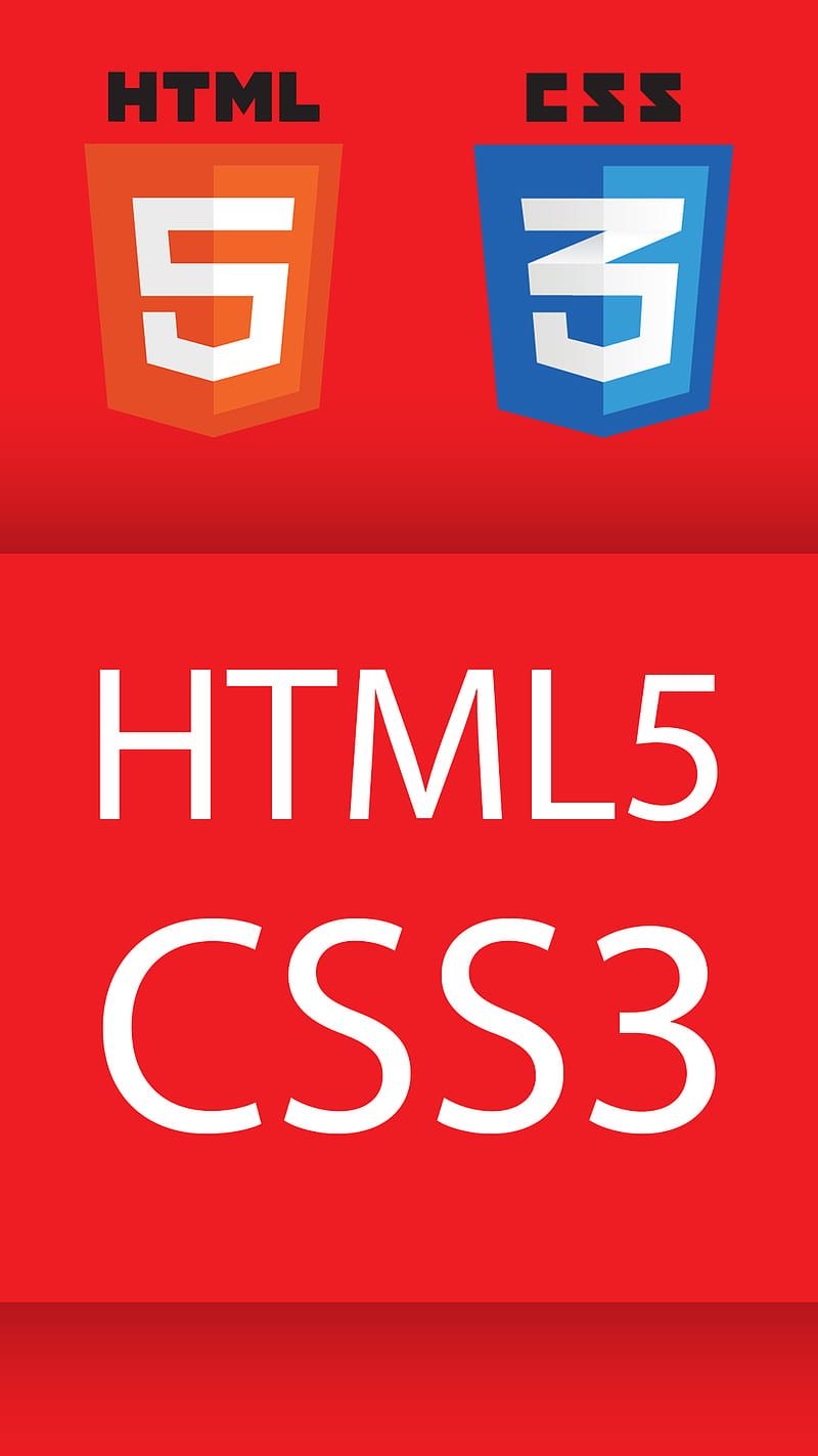800x1422 Developer, code, computer, science, technology, website, HD phone wallpaper