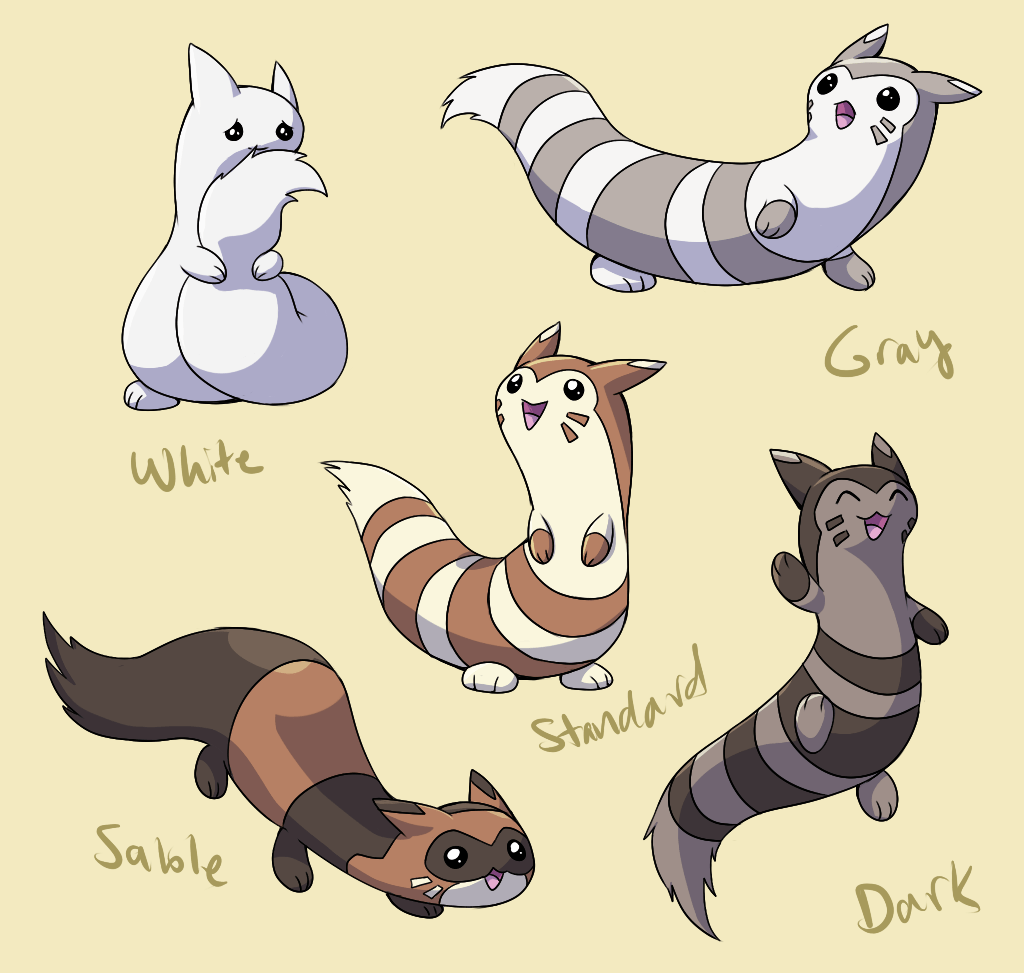 1024x973 Best Furret image. Pokemon, Cute pokemon, All pokemon