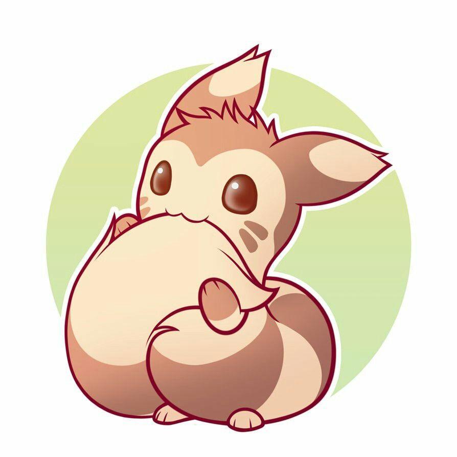 894x894 Fluffy furret. Cute pokemon wallpaper, Cute animal drawings