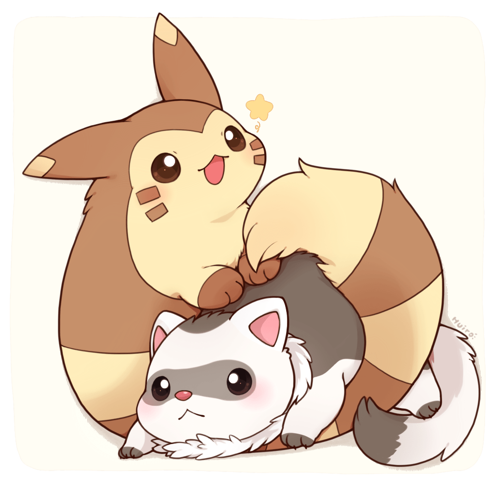 999x970 Furret and Ferret. Cute pokemon, Pokemon breeds, Pokemon