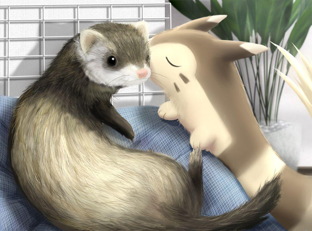 1094x810 Furretémon Anime Image Board