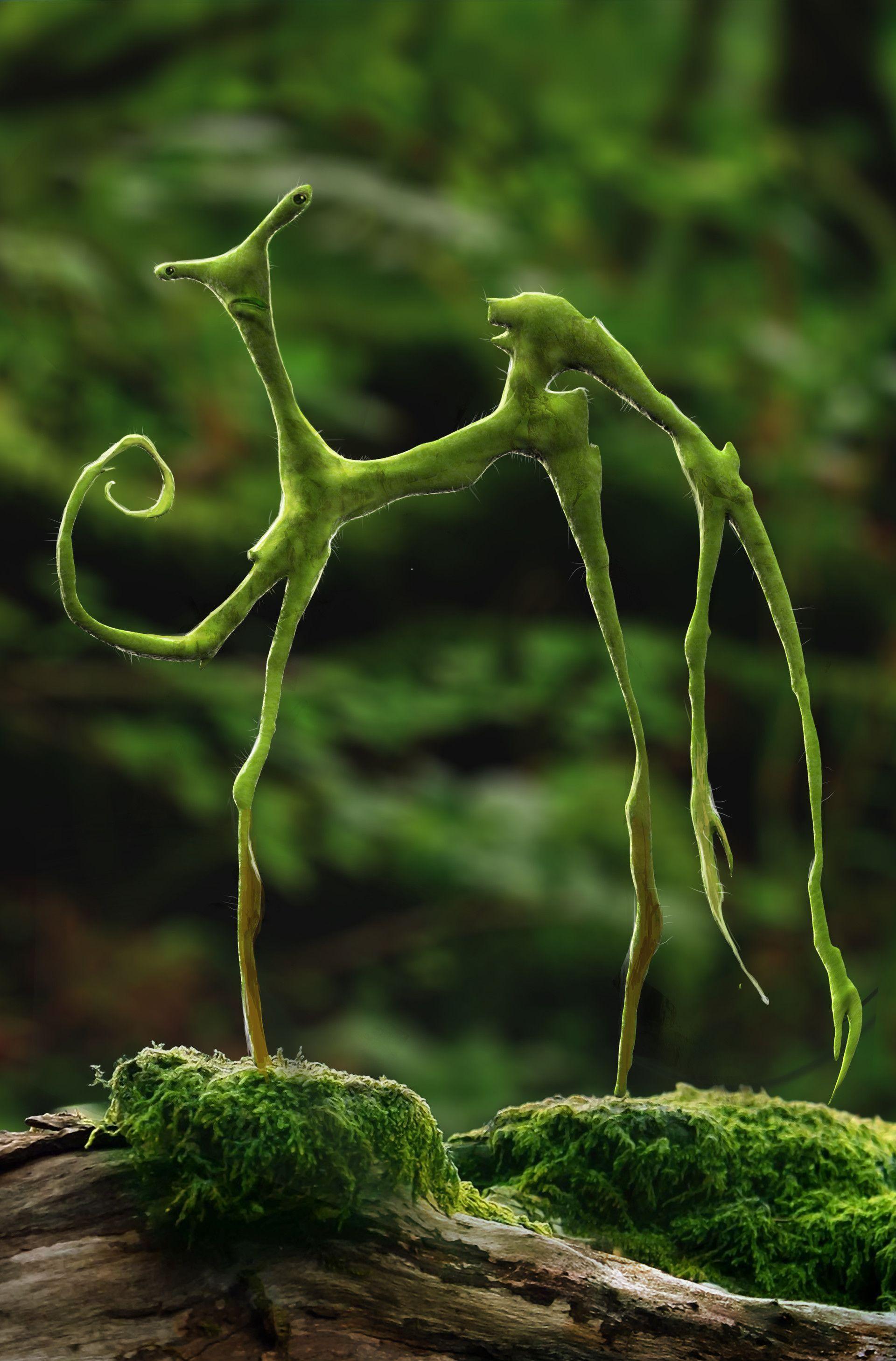 1920x2916 Fantastic Beasts Bowtruckle, Dan Baker. Fantastic