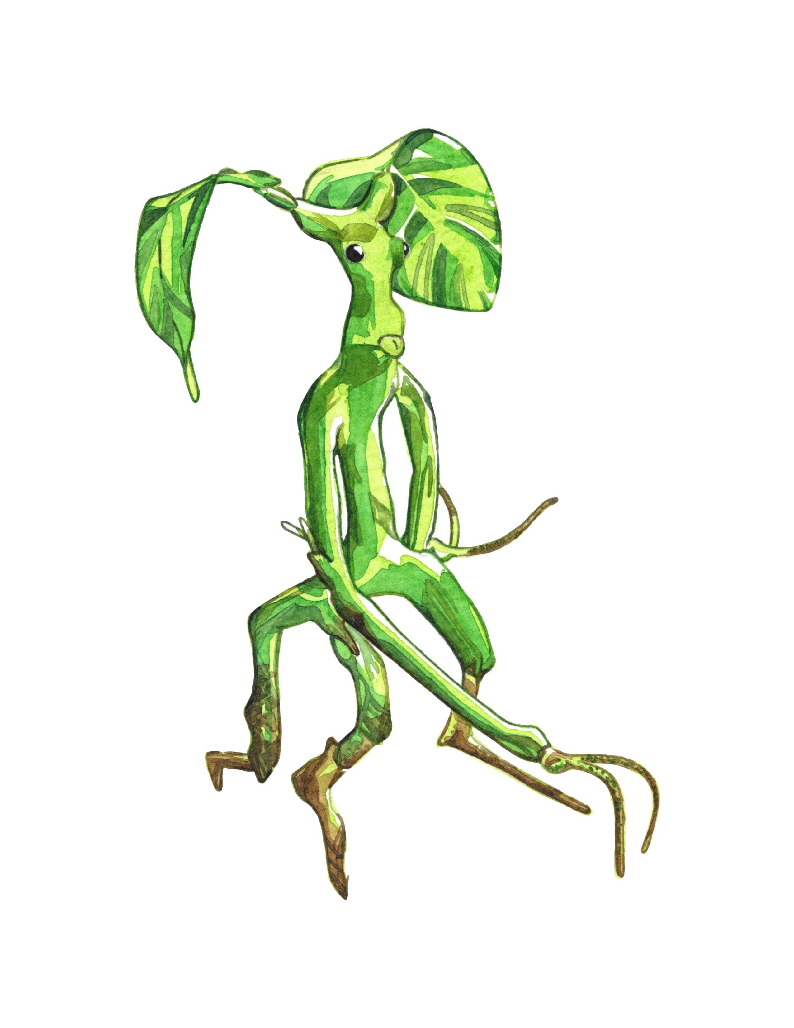 2550x3300 Bowtruckle illustrated in watercolor. Fantastische tierwesen