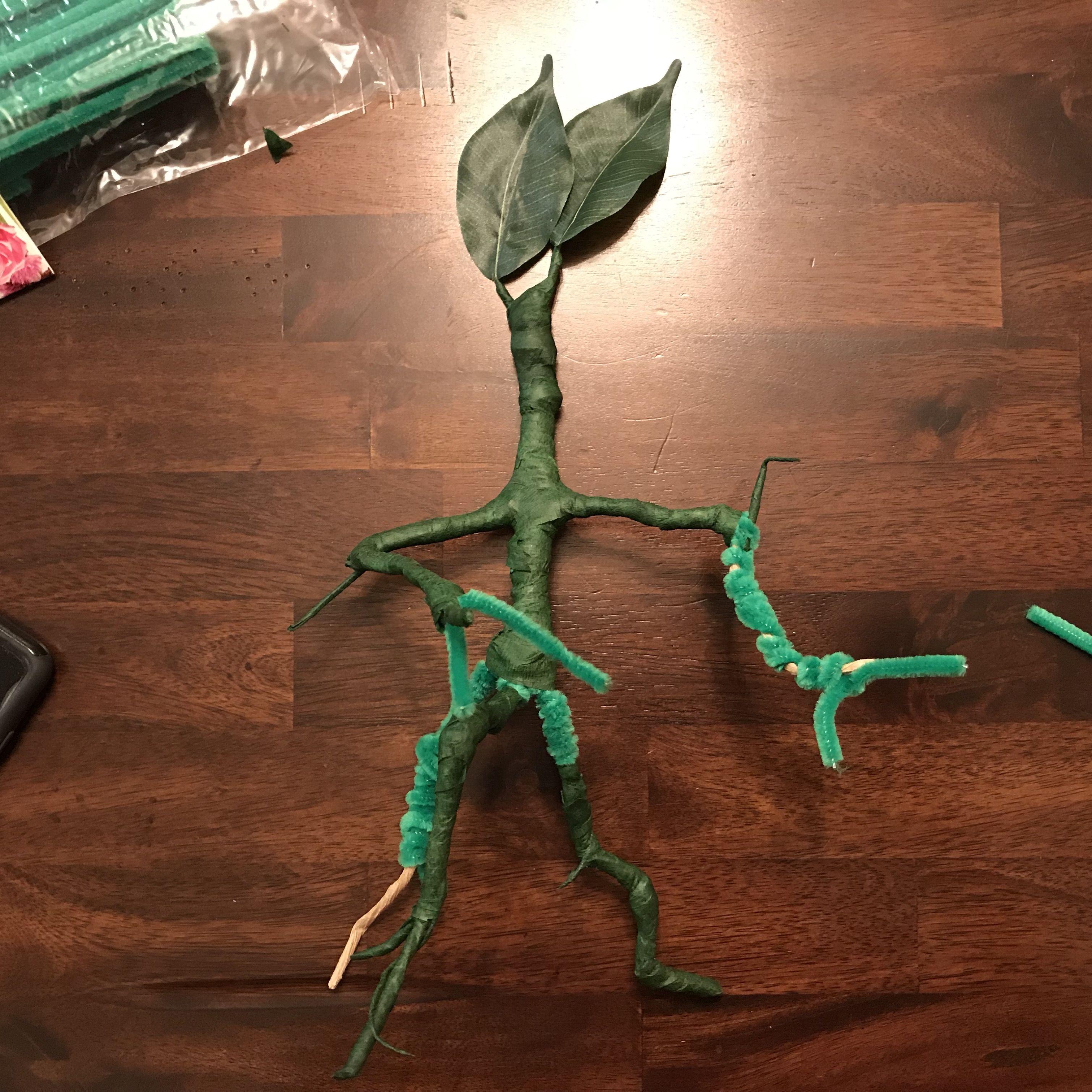 3024x3024 Bowtruckle