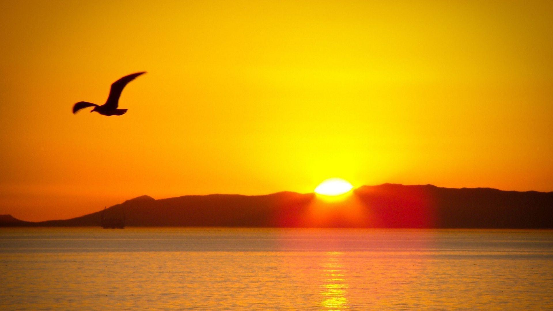 1920x1080 Sunshine HD Wallpaper