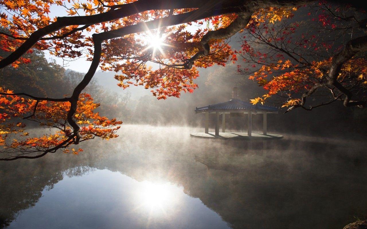 1280x800 Lakes: Japanese Garden Japan Pagoda Lake Water Sun Autumn Oriental