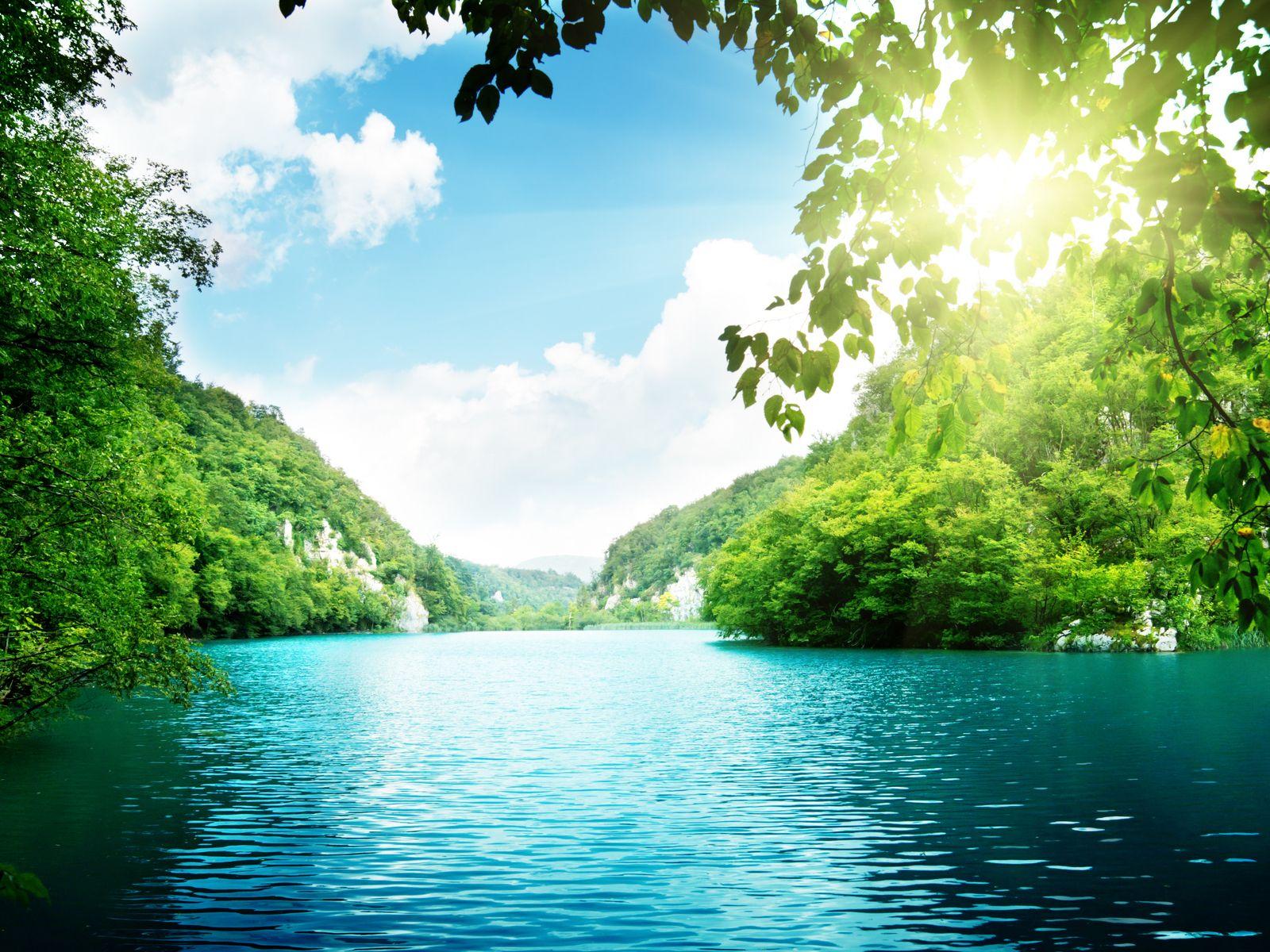 1600x1200 HD Nature Wallpaper: Sunshine Between Leaves Green Mountains HD