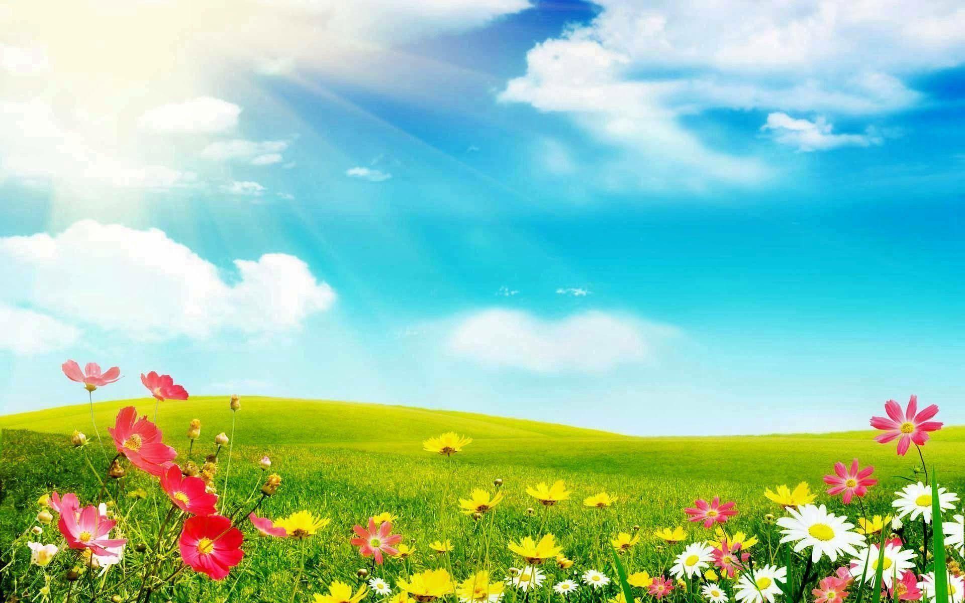 1920x1200 Rainbow Sunshine Wallpaper