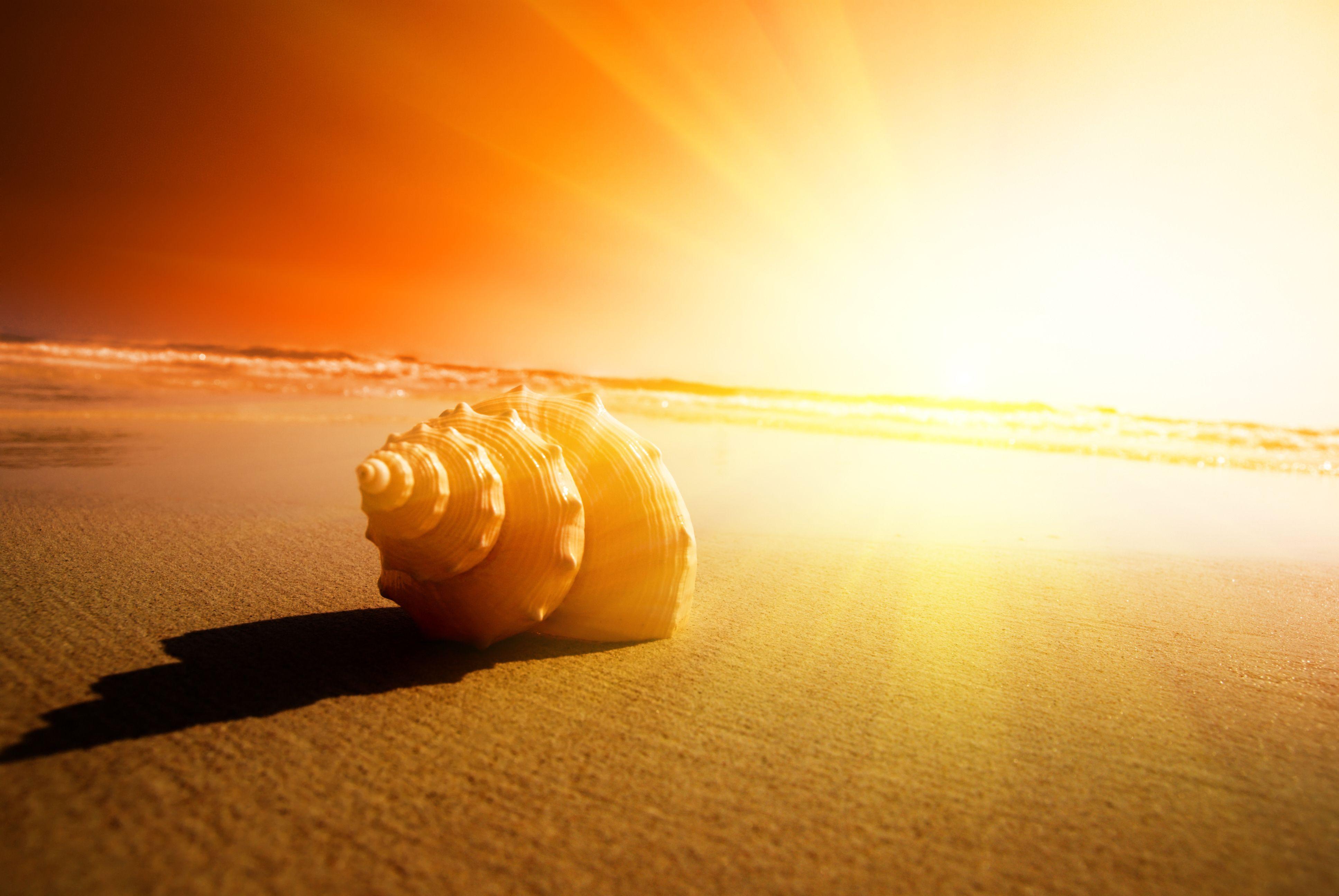 3872x2592 Sunshine Wallpaper 26241 3872x2592px