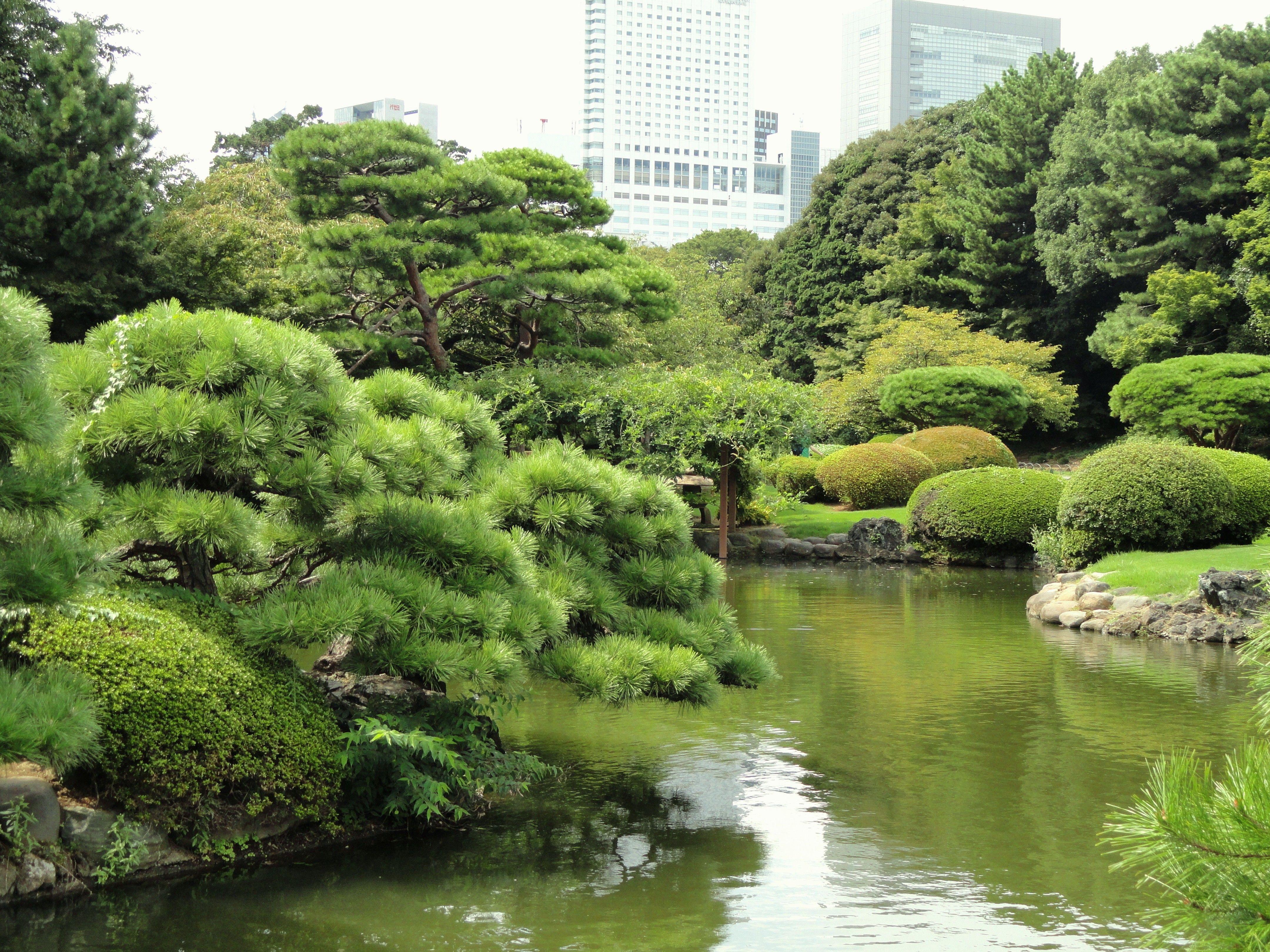 4320x3240 Misc: Park Tokyo Shinjuku Japan Gyoen Garden Japanese Nature Lake