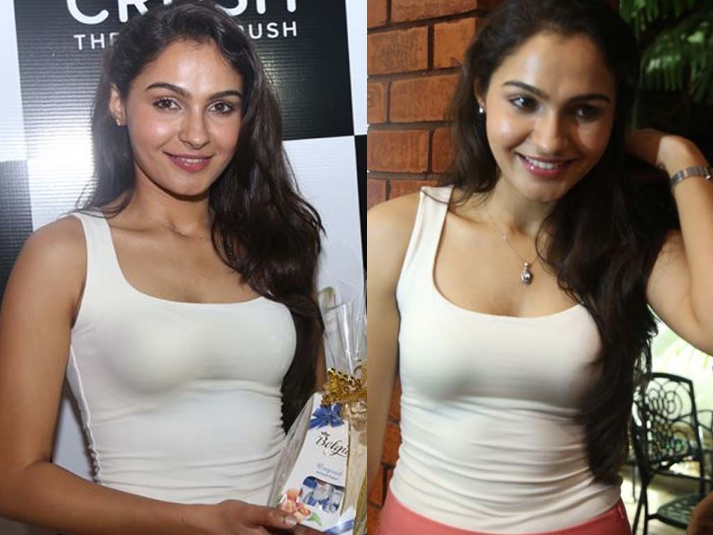 1024x768 Andrea Jeremiah HQ Wallpaper. Andrea Jeremiah Wallpaper