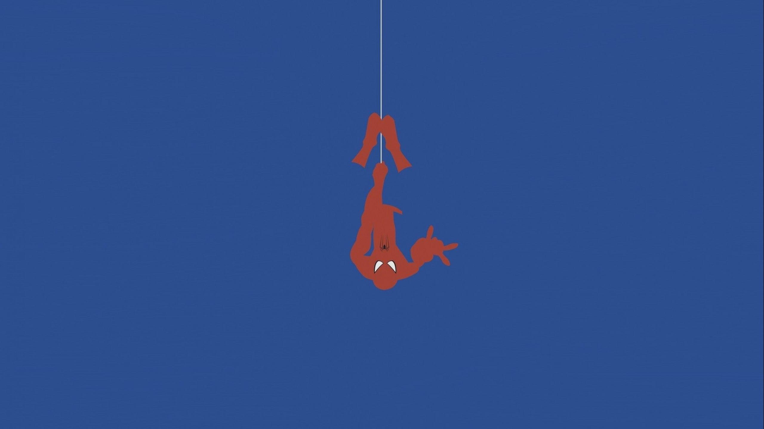 2560x1440 Minimal Spiderman Wallpaper