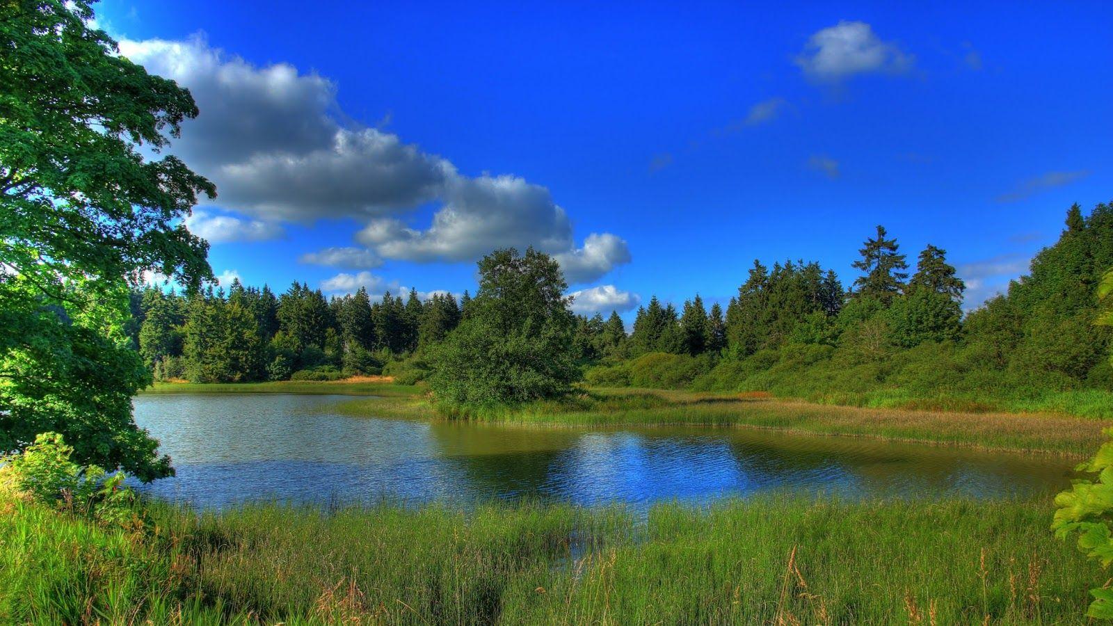 1600x900 Download Wallpaper Nature Ultra HD