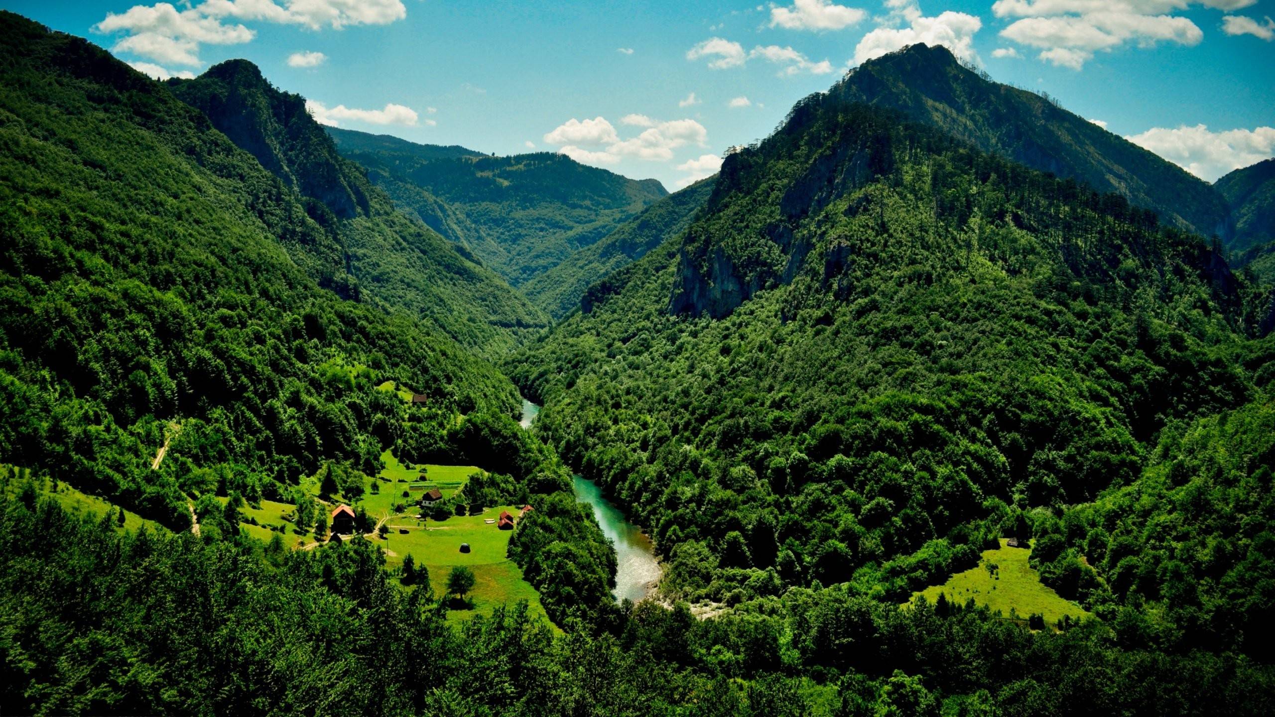 2560x1440 4K Ultra HD Nature Wallpaper 2560x