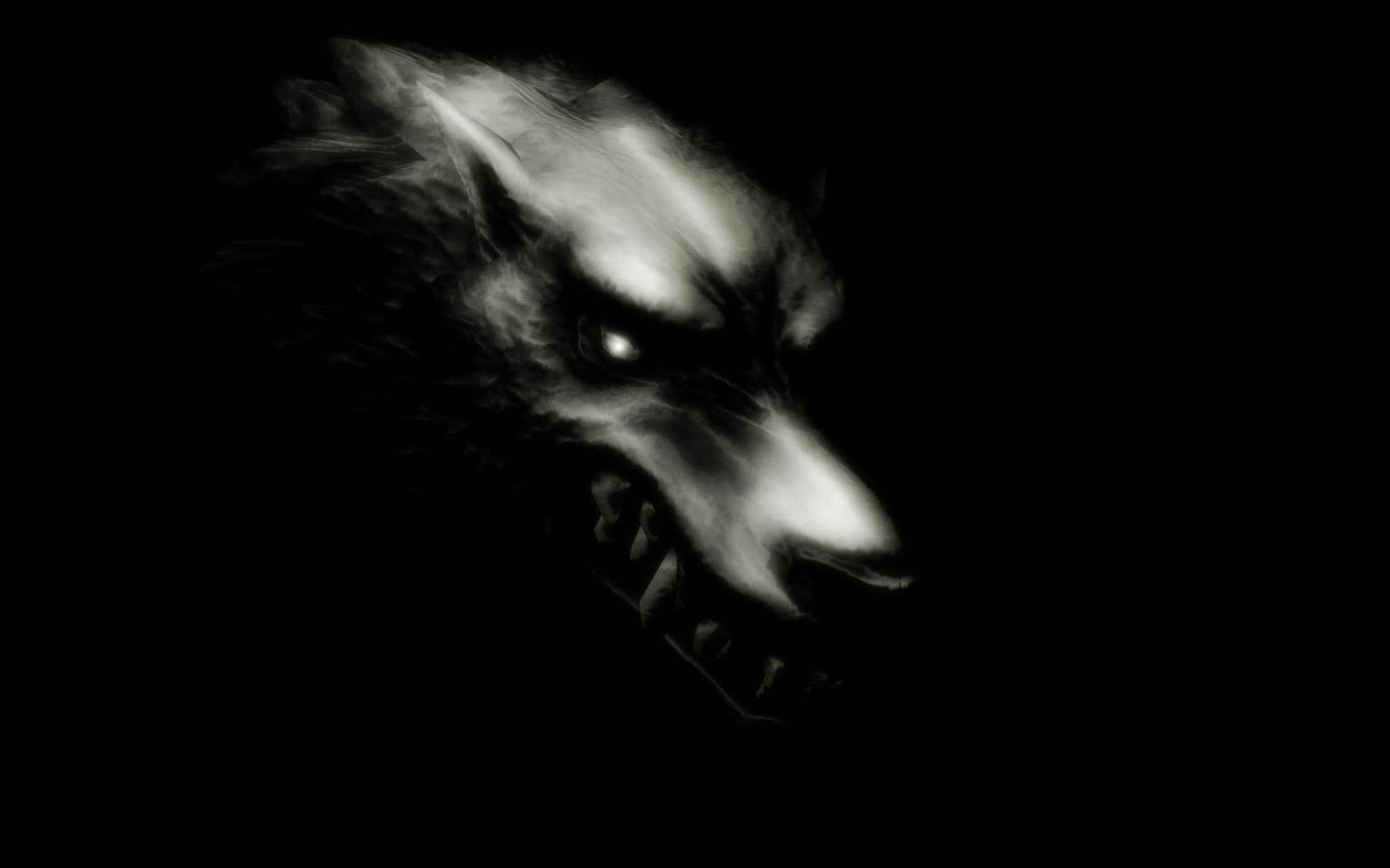 1680x1050 hình nền Dark Wolf từ hình nền Dark
