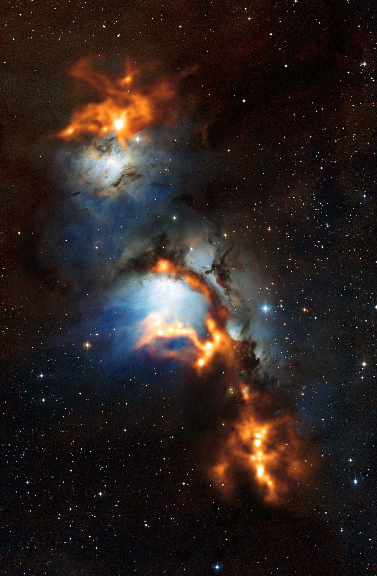 1280x1955 Sifting through Dust near Orion's Belt
