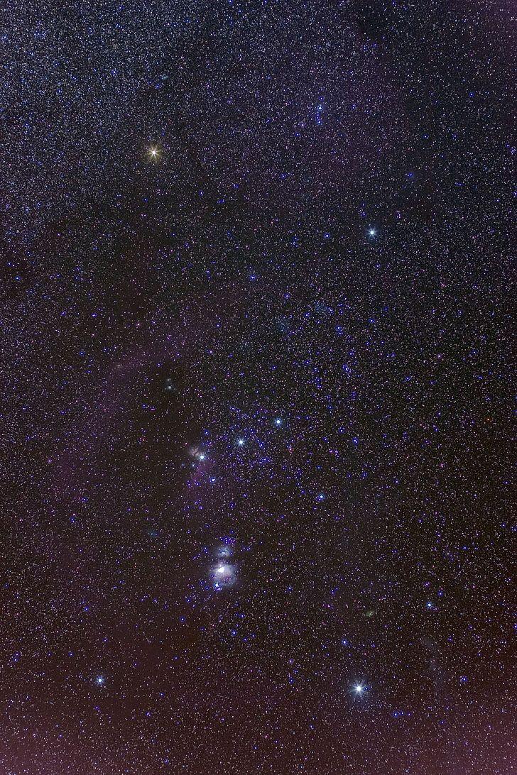 728x1092 Constellation orion 1080P, 2K, 4K, 5K HD wallpaper free download
