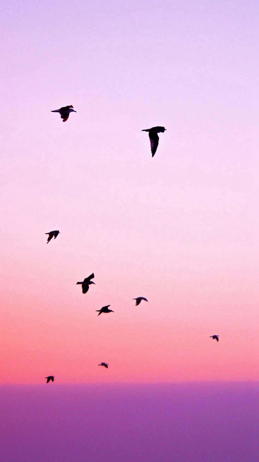 1080x1920 Birds Flying In Purple Sunset iPhone 8 Wallpaper Free Download