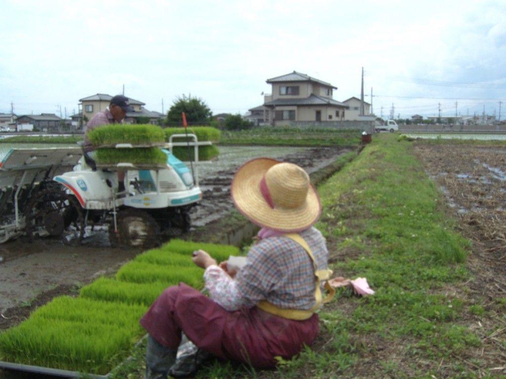1024x768 The Rise of the Japanese Robot Farmer