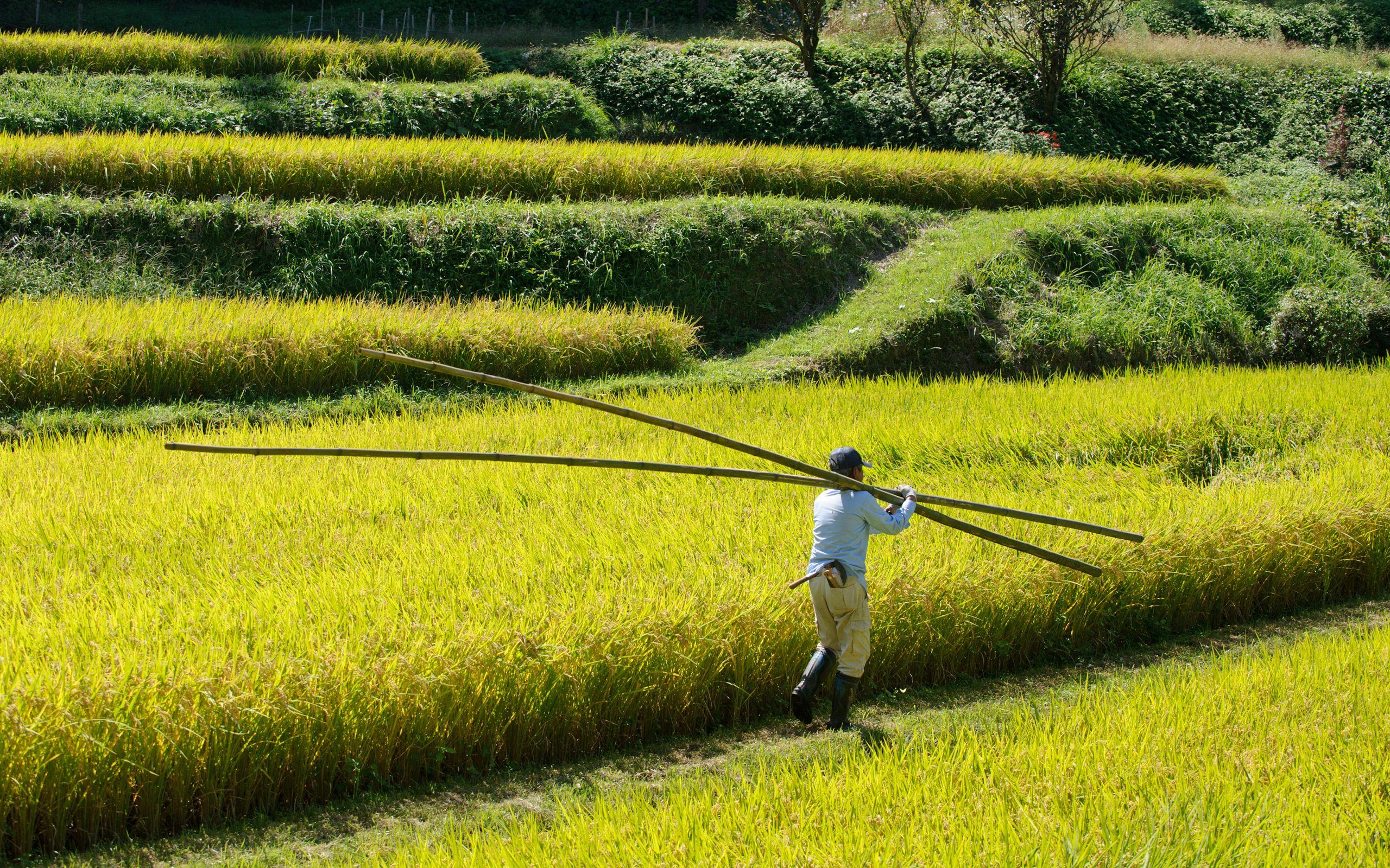 Japanese Farm Wallpapers - Top Free Japanese Farm Backgrounds ...