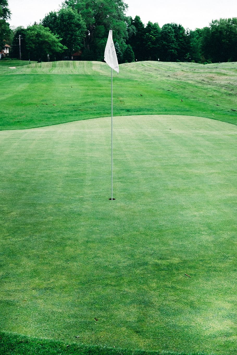 910x1365 Masters golf 1080P, 2K, 4K, 5K HD wallpaper free download