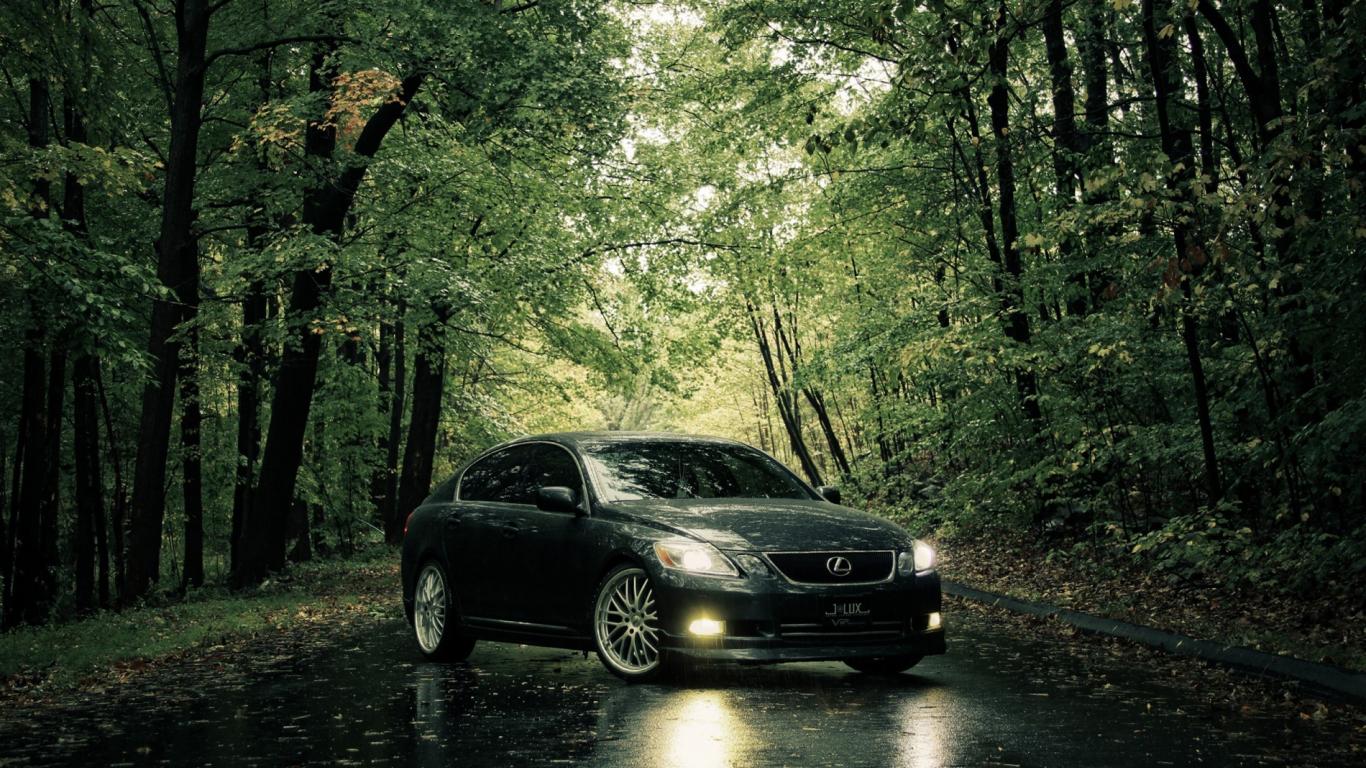 1366x768 Lexus In Tropical Woods