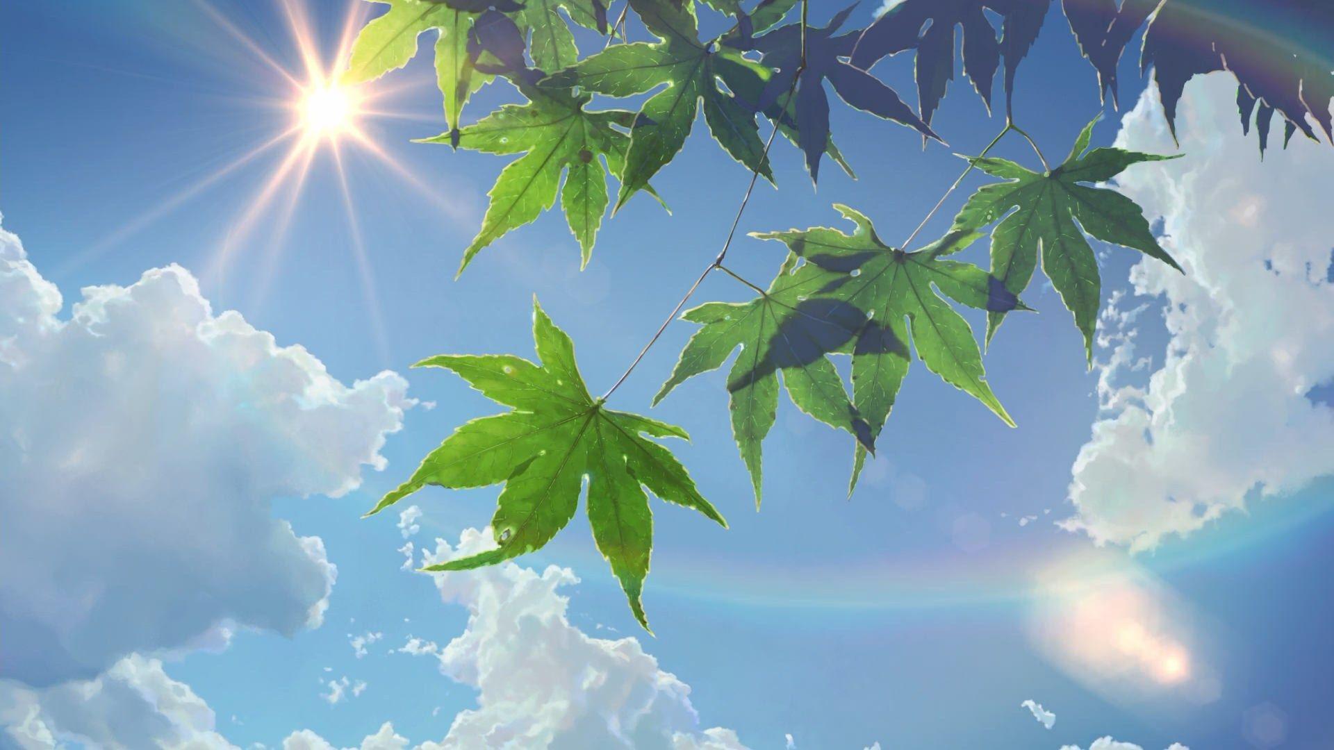 1920x1080 The Garden Of Words Of Words 4k, HD Wallpaper