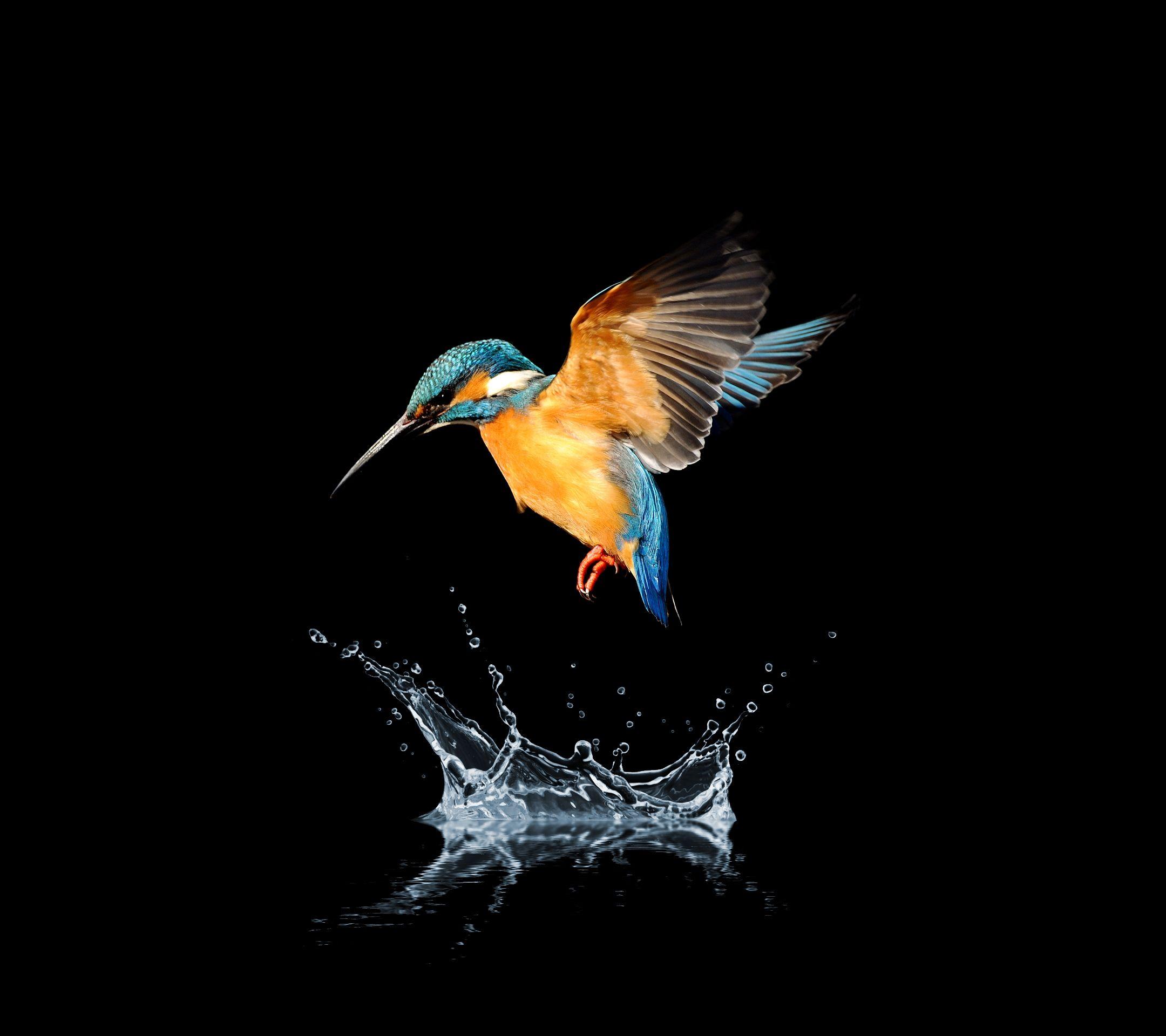 2160x1920 Tecno Phantom Wallpaper