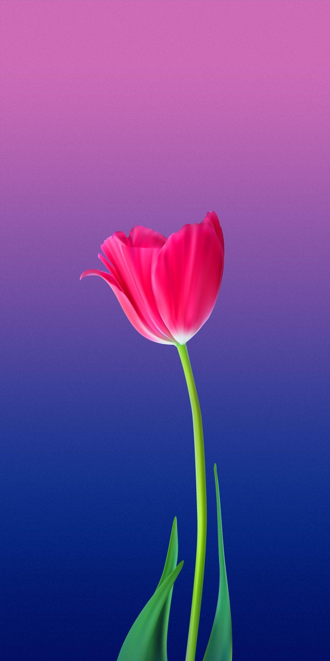 Tecno Wallpapers - Top Free Tecno Backgrounds - WallpaperAccess