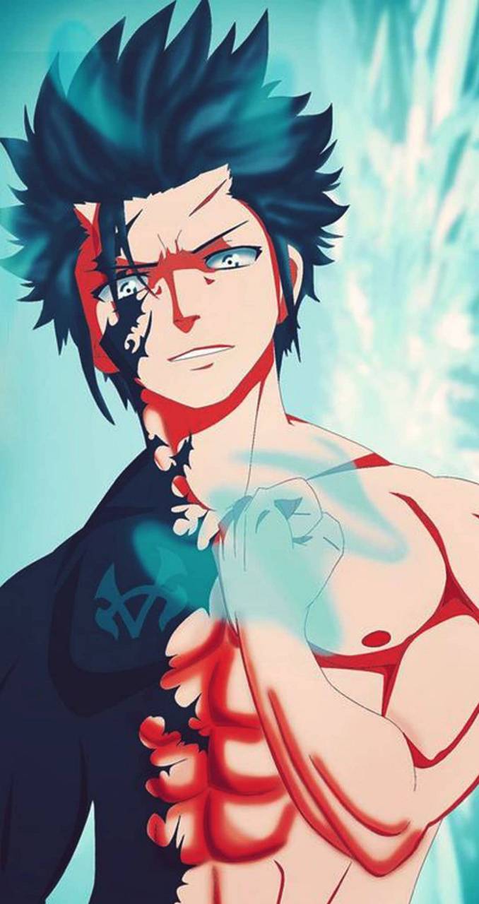 678x1280 Gray Fullbuster wallpaper
