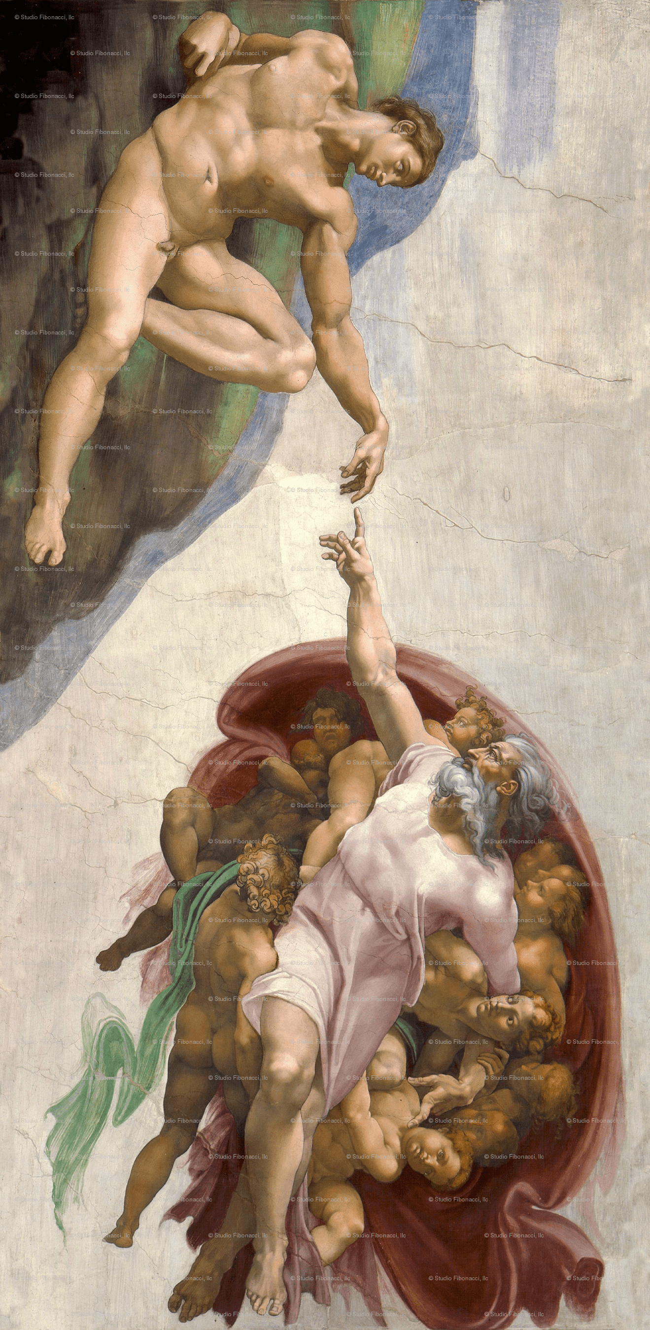 The Creation Of Adam Wallpapers Top Free The Creation Of Adam 