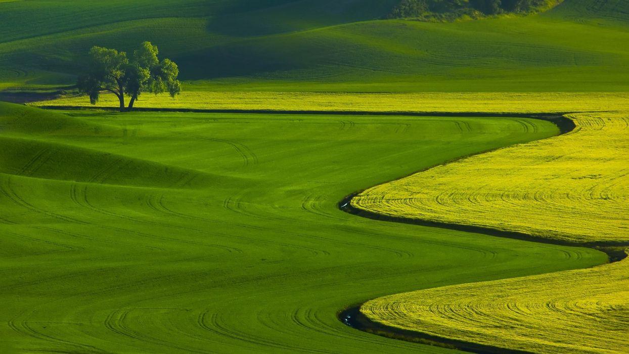 Hd Green Landscape Wallpapers Top Free Hd Green Landscape Backgrounds Wallpaperaccess