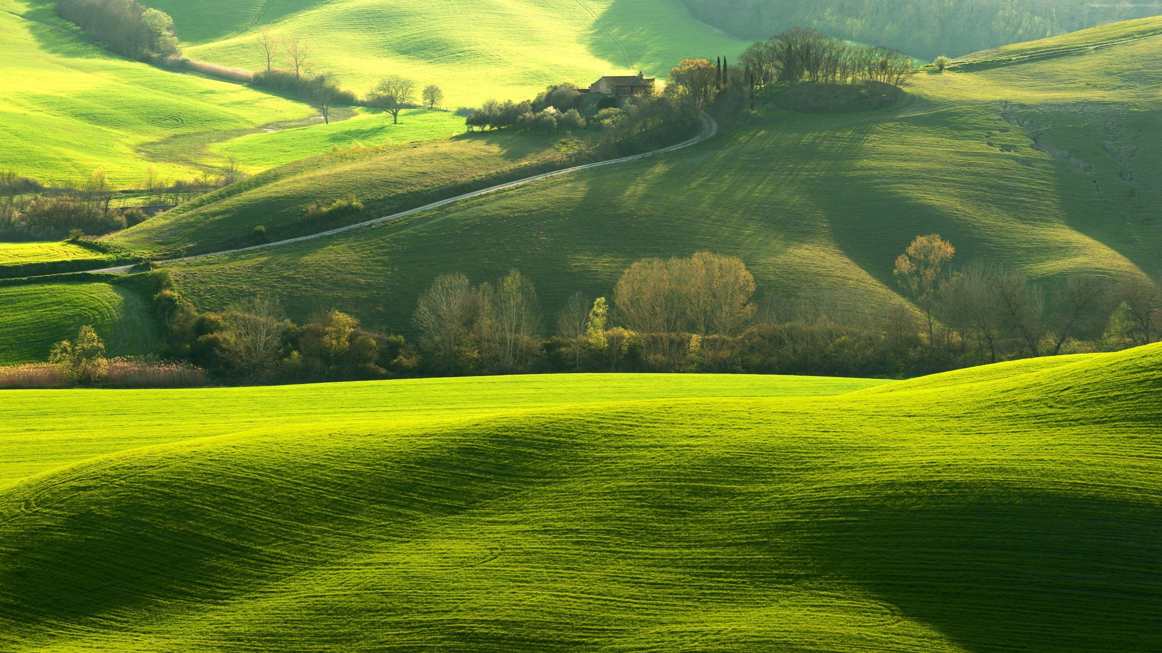 Green Field Wallpapers Top Free Green Field Backgrounds WallpaperAccess