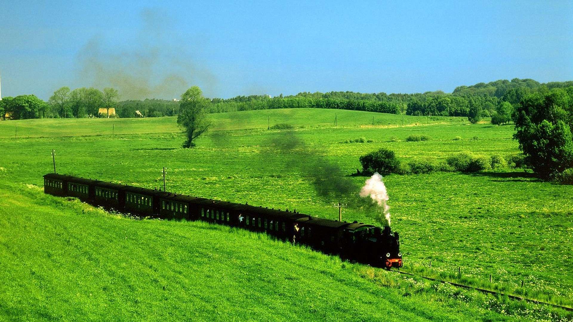 1920x1080 Streamtrain in Green Field HD Wallpaper FullHDWpp HD