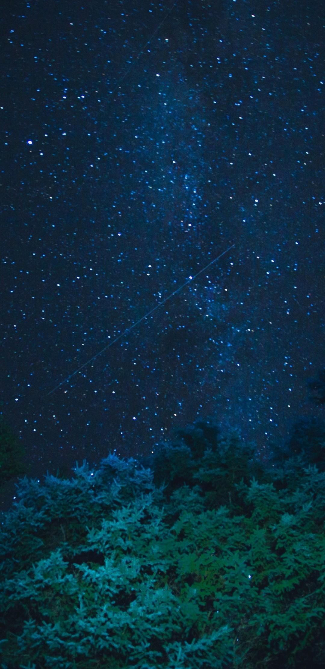 1080x2220 Wallpaper