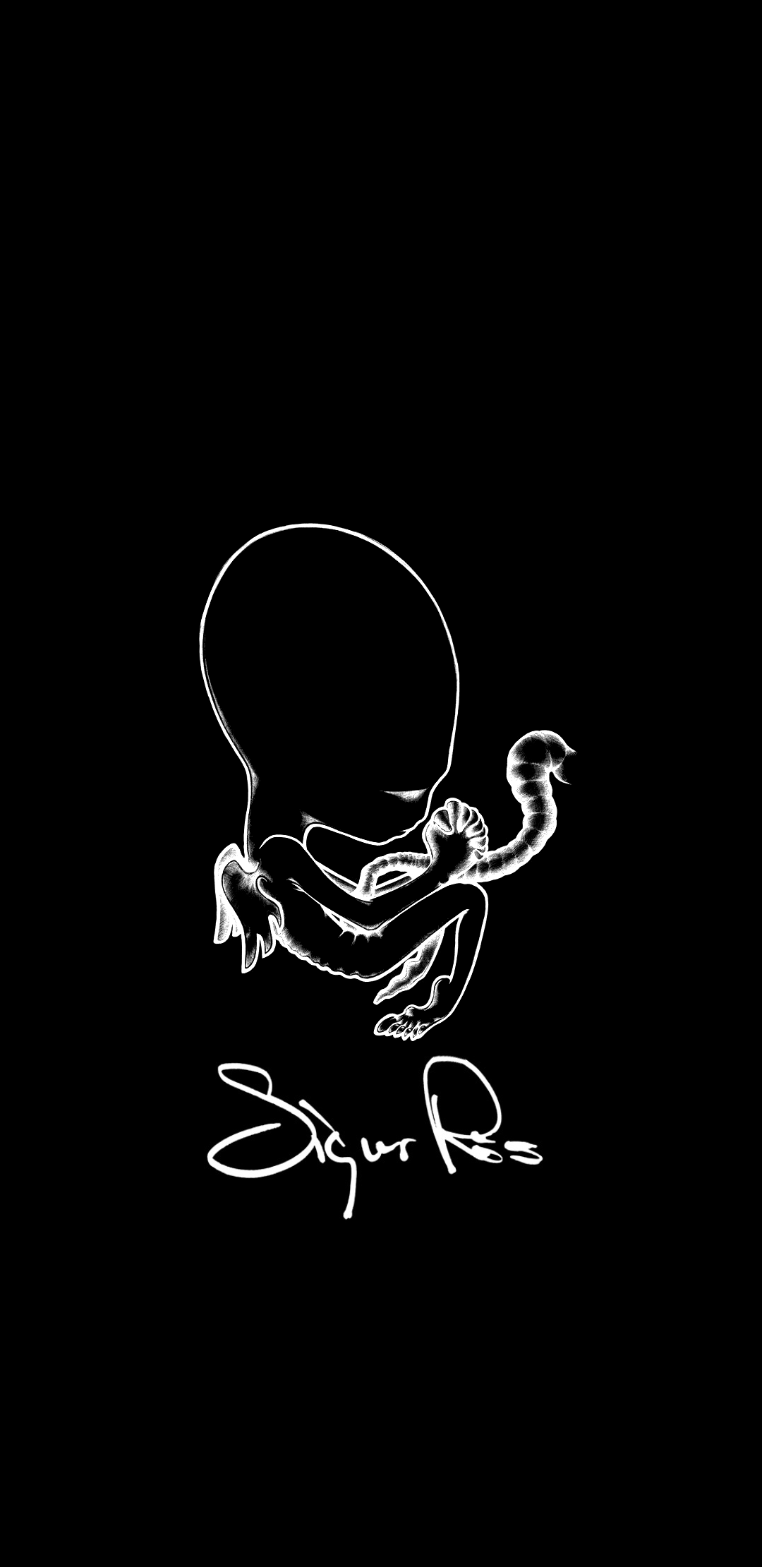 1080x2220 A wallpaper that I made for my favorite band, Sigur Rós