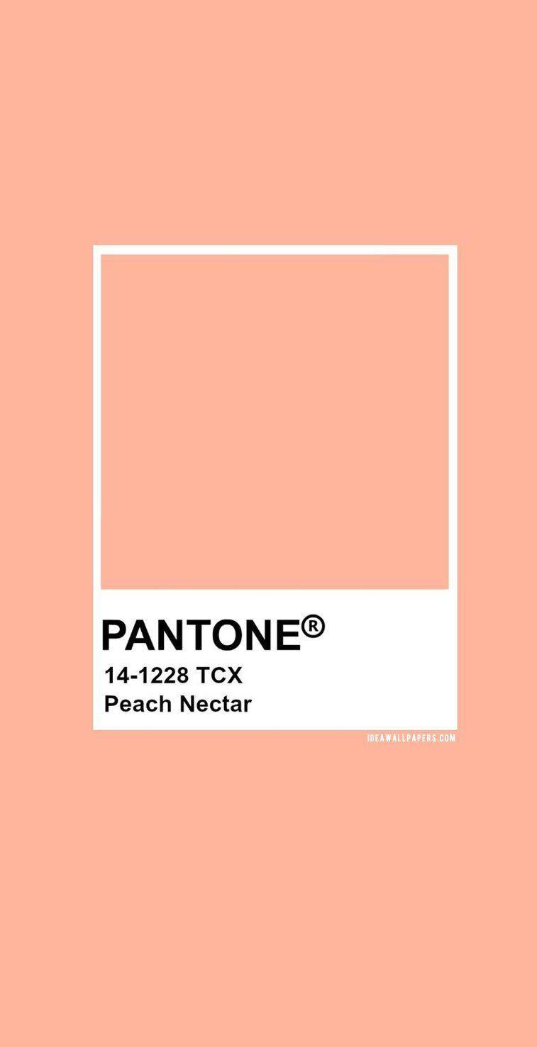 757x1477 Pantone Peach Nectar: ​​Pantone 14 1228 #color #pantone Vào năm 2020