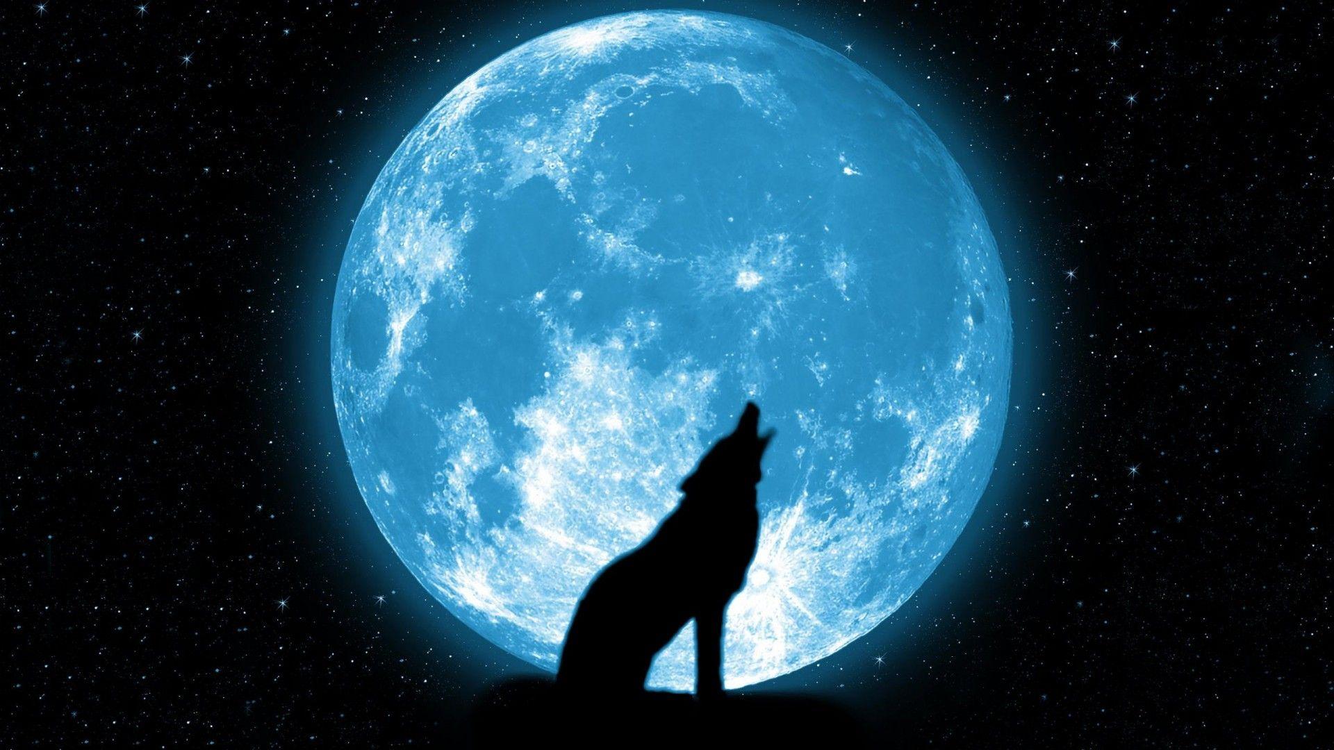 1920x1080 Wolf Howling At The Moon Wallpaper