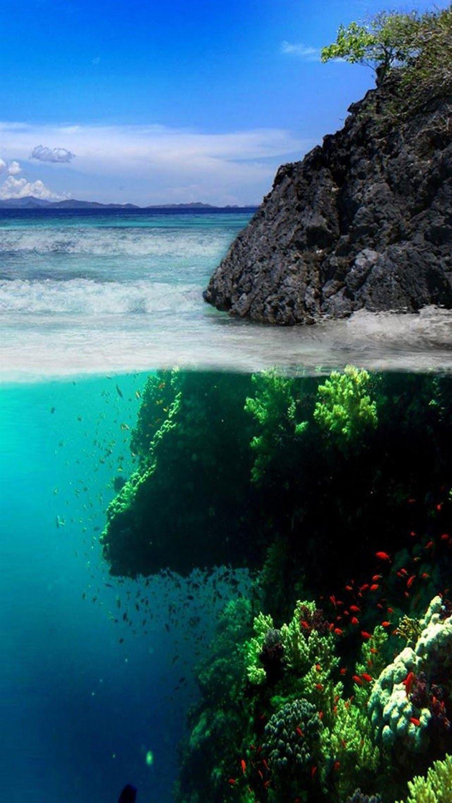 900x1600 iPhone and Android Wallpaper: Coral Reef iPhone Wallpaper