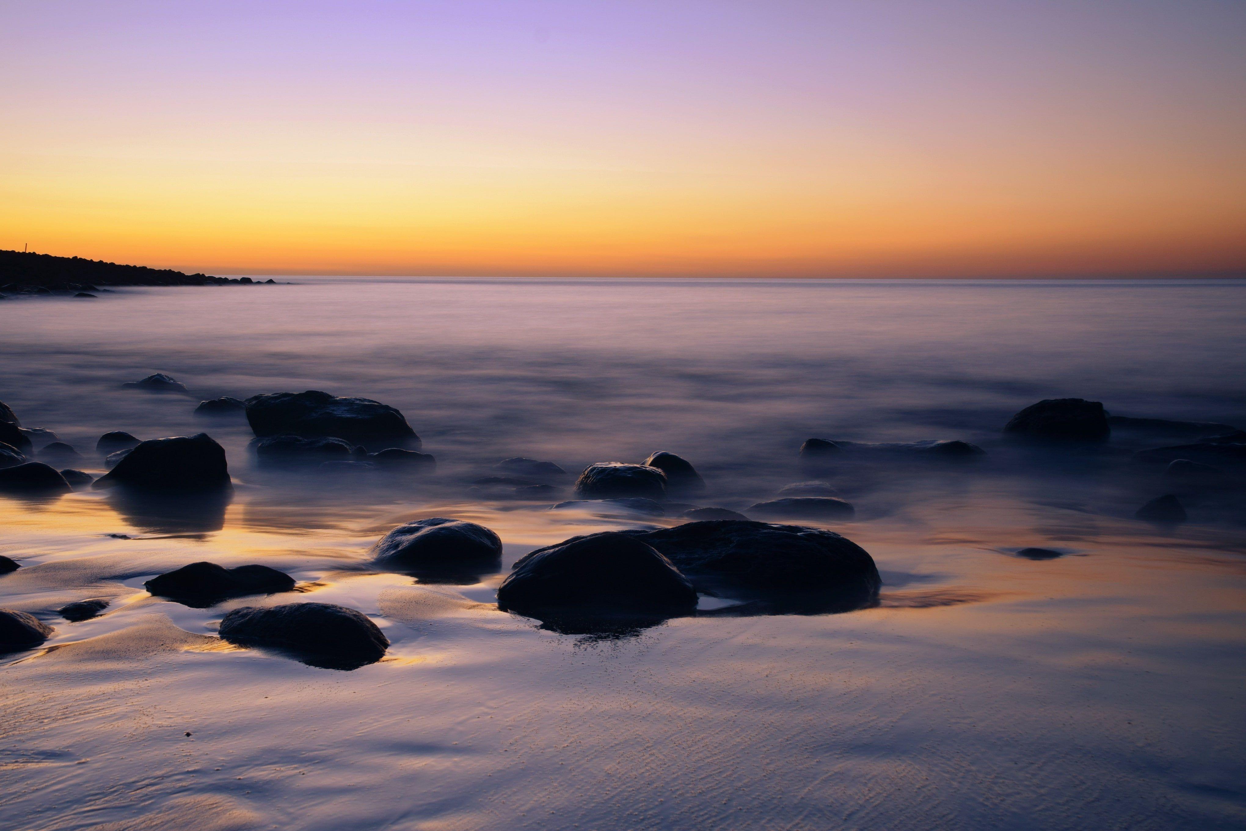 4080x2720 canaria HD wallpaper free download