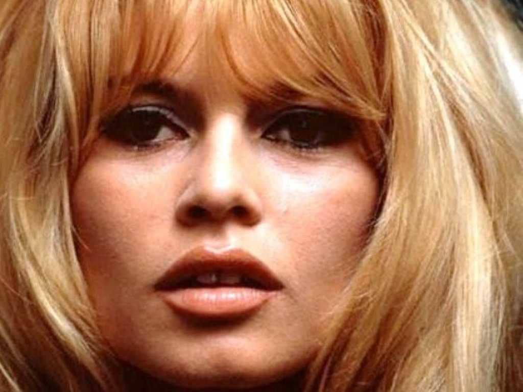 1024x768 Brigitte Bardot Wallpaper