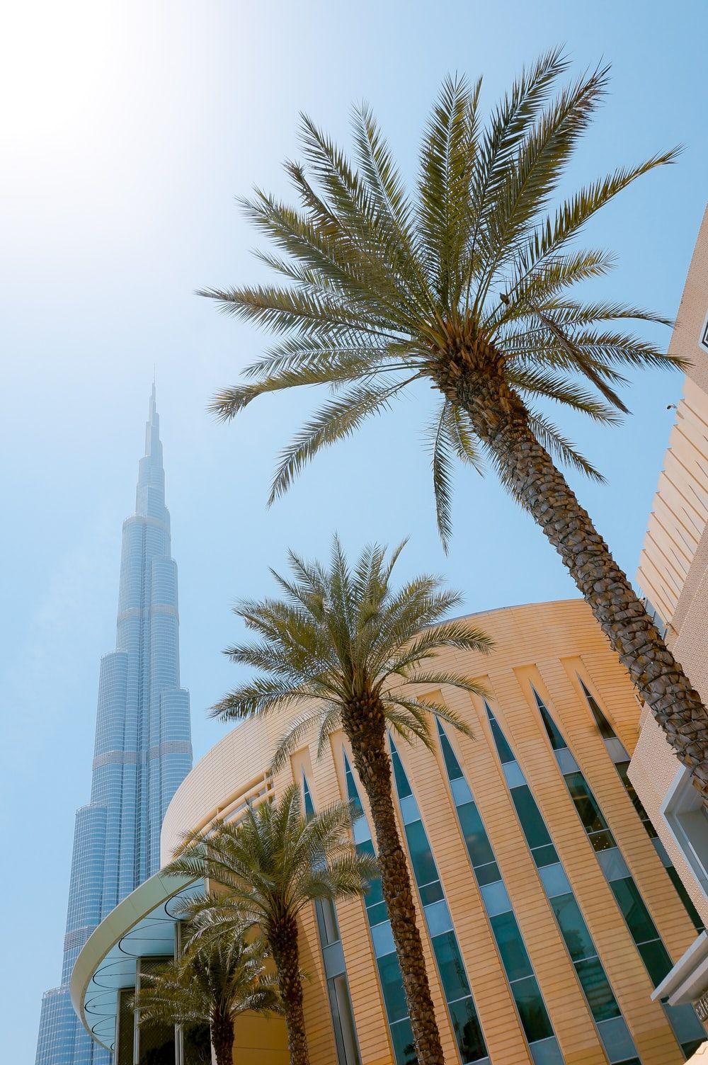 1000x1504 Burj Khalifa Picture. Download Free Image