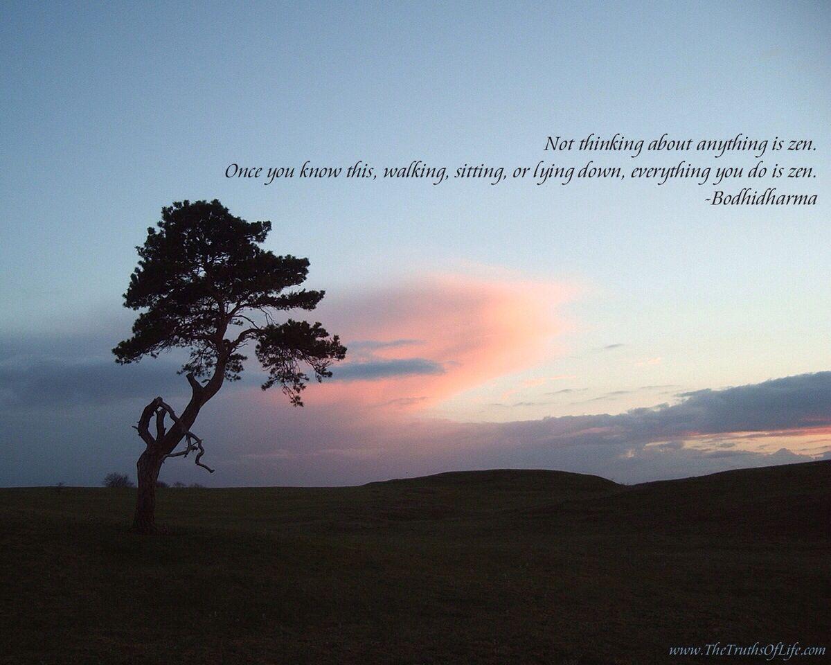 1200x960 Bodhidharma father of Zen Budhism. Zen buddhism, Zen quotes