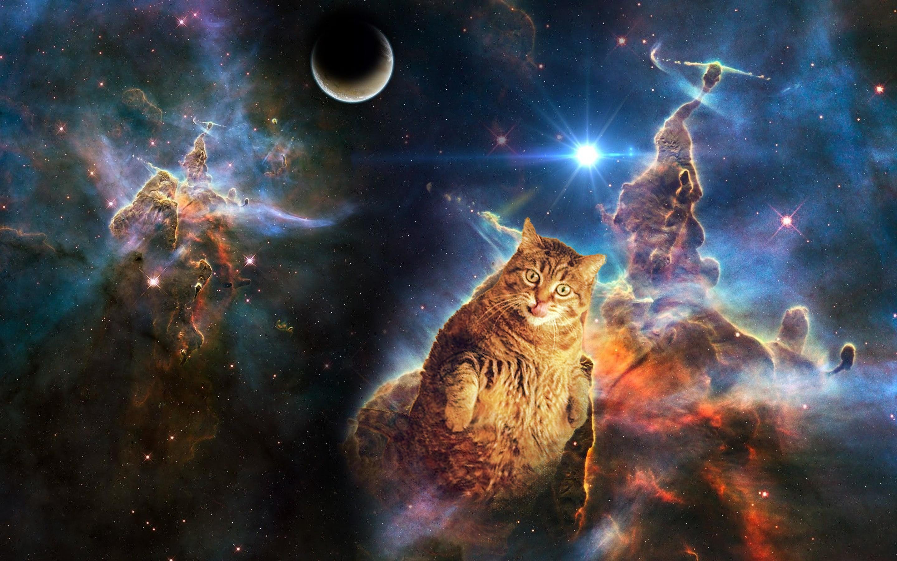 Galaxy Cat Wallpapers - Top Free Galaxy Cat Backgrounds - WallpaperAccess