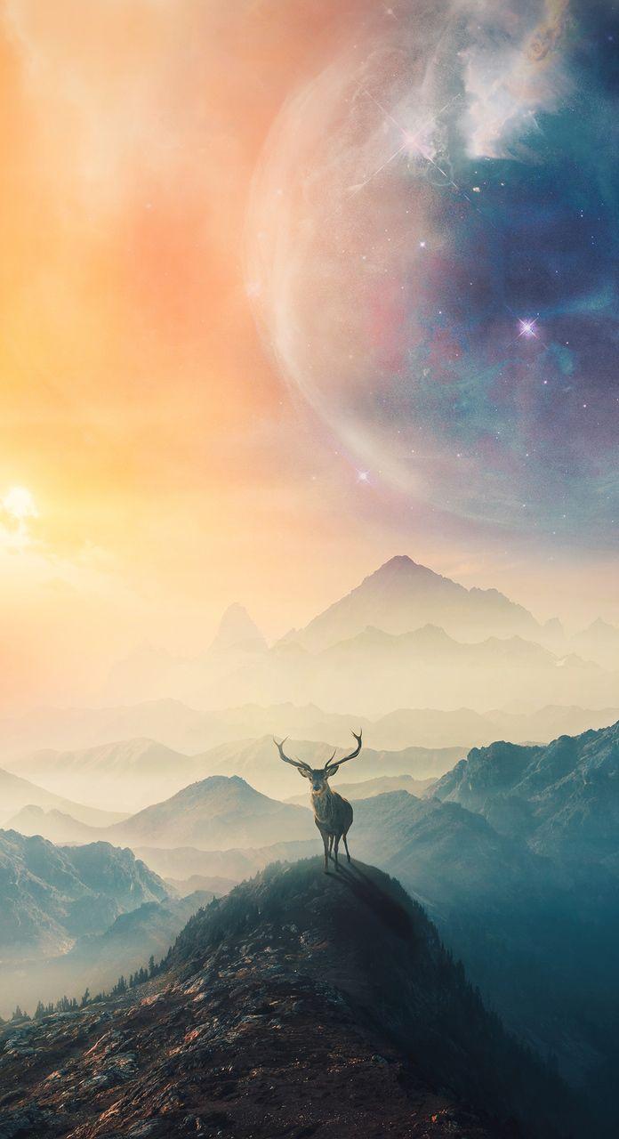 Albulena Panduri Wallpapers Top Free Albulena