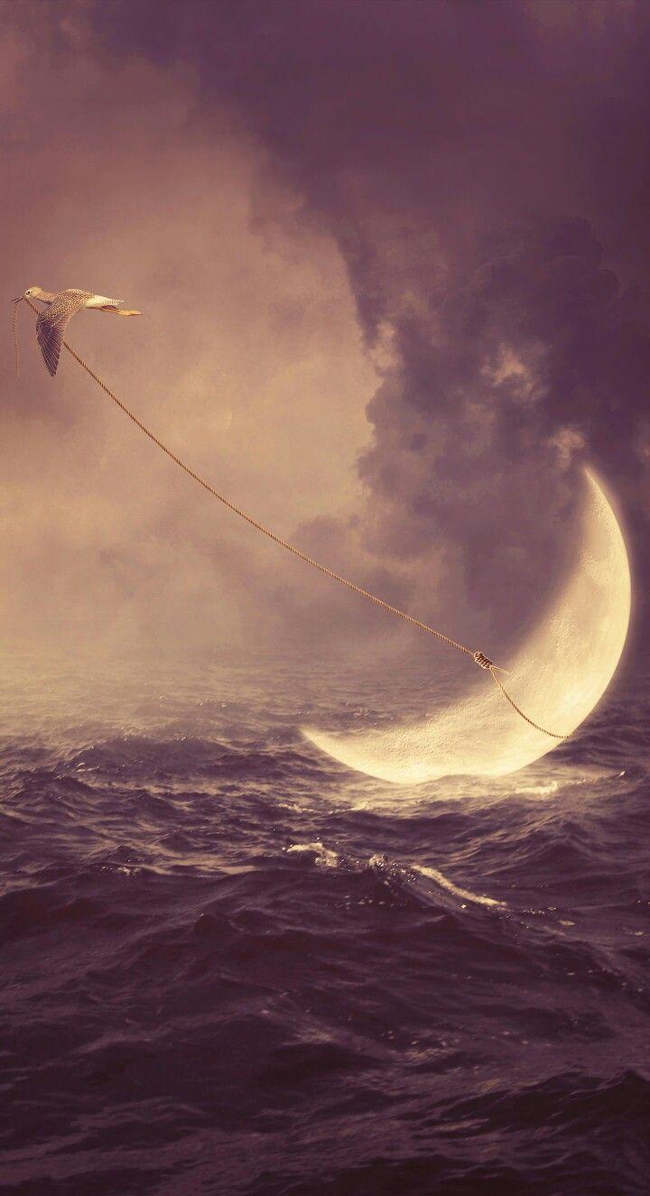 Albulena Panduri Wallpapers Top Free Albulena