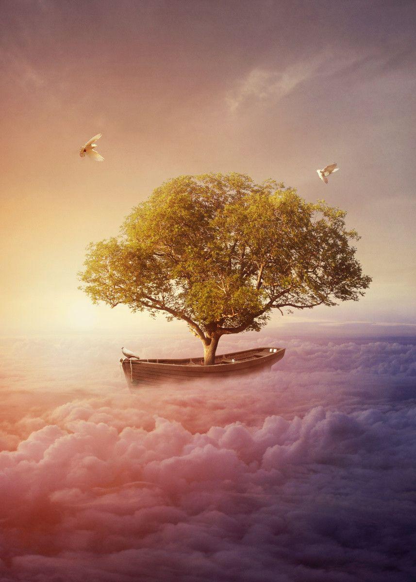 Albulena Panduri Wallpapers Top Free Albulena