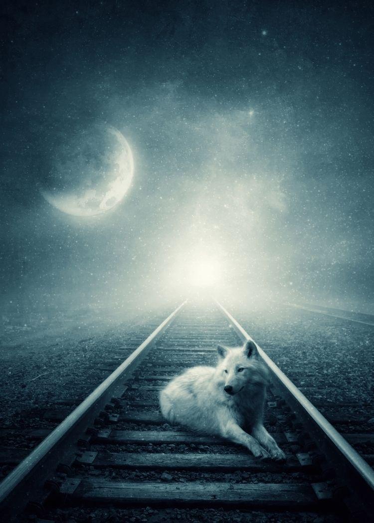 Albulena Panduri Wallpapers Top Free Albulena